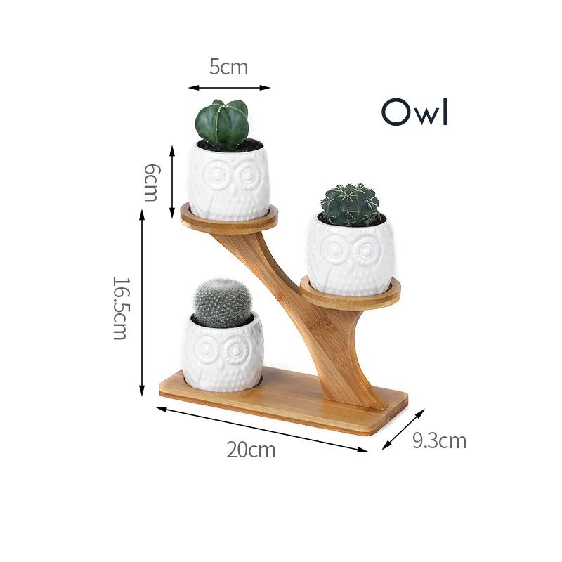 1 Set Ceramic Owl Garden Pots Modern Pumpkin Flowerpot Nursery Succulent Plant Pot 3 Bonsai Planters with 3-Tier Bamboo Shelf
1 Set Ceramic Owl Garden Pots Modern Pumpkin Flowerpot Nursery Succulent Plant Pot 3 Bonsai Planters with 3-Tier Bamboo Shelf