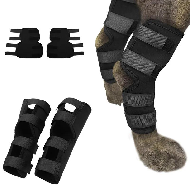 Fashion 1Pair Pet Knee Pads Support Brace for Leg Hock Joint Wrap Injury Recover Legs Dog Protector Protects Bandage S
Fashion 1Pair Pet Knee Pads Support Brace for Leg Hock Joint Wrap Injury Recover Legs Dog Protector Protects Bandage S