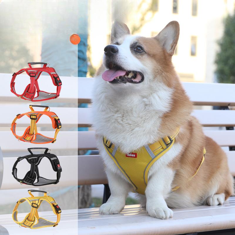 Explosion Proof Dog Leash Vest Medium Sized Dog French Bulldog Corgi Adjustable Chest Strap Dog Leash Dog Chain XS
Explosion Proof Dog Leash Vest Medium Sized Dog French Bulldog Corgi Adjustable Chest Strap Dog Leash Dog Chain XS