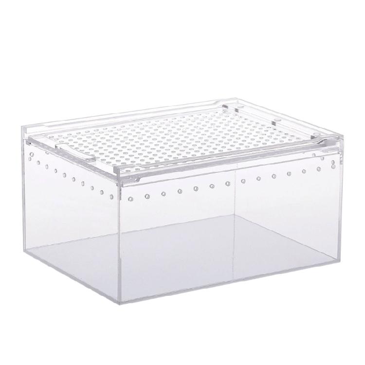 Reptile Box Feeding Small Pet Horned Spider Lizards Snail Clear Designed Box 20x15x10
Reptile Box Feeding Small Pet Horned Spider Lizards Snail Clear Designed Box 20x15x10