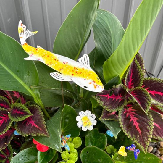 Fancy Carp Garden Stake Metal Colorful Showy Fish Decoration Outdoor Decor Carp Stake for Yard Lawn Raised Beds
Fancy Carp Garden Stake Metal Colorful Showy Fish Decoration Outdoor Decor Carp Stake for Yard Lawn Raised Beds