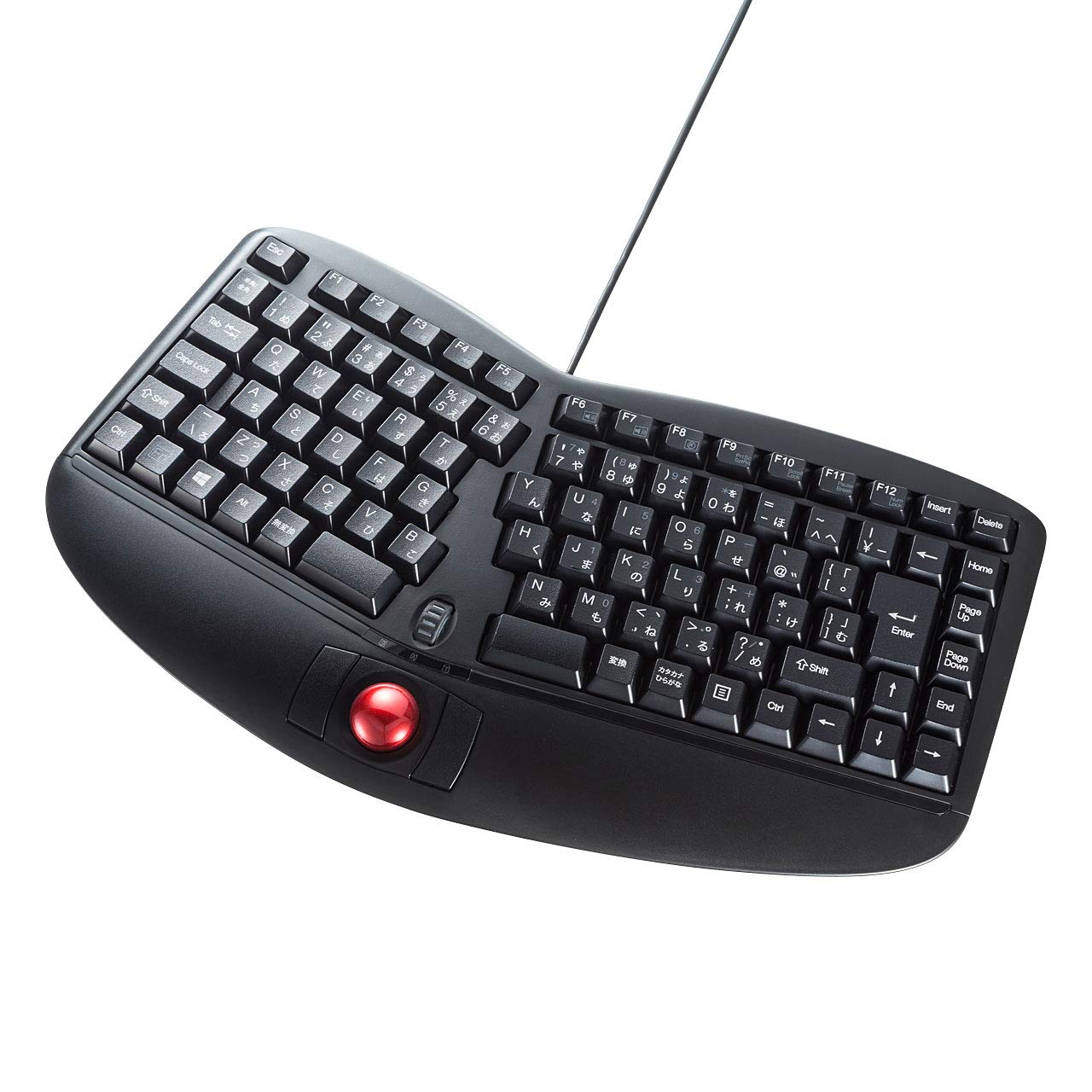 Sanwa Supply Ergonomics Keyboard Wired USB Connection Membrane Japanese 109A Layout (with Trackball) SKB-ERG5BK
Sanwa Supply Ergonomics Keyboard Wired USB Connection Membrane Japanese 109A Layout (with Trackball) SKB-ERG5BK