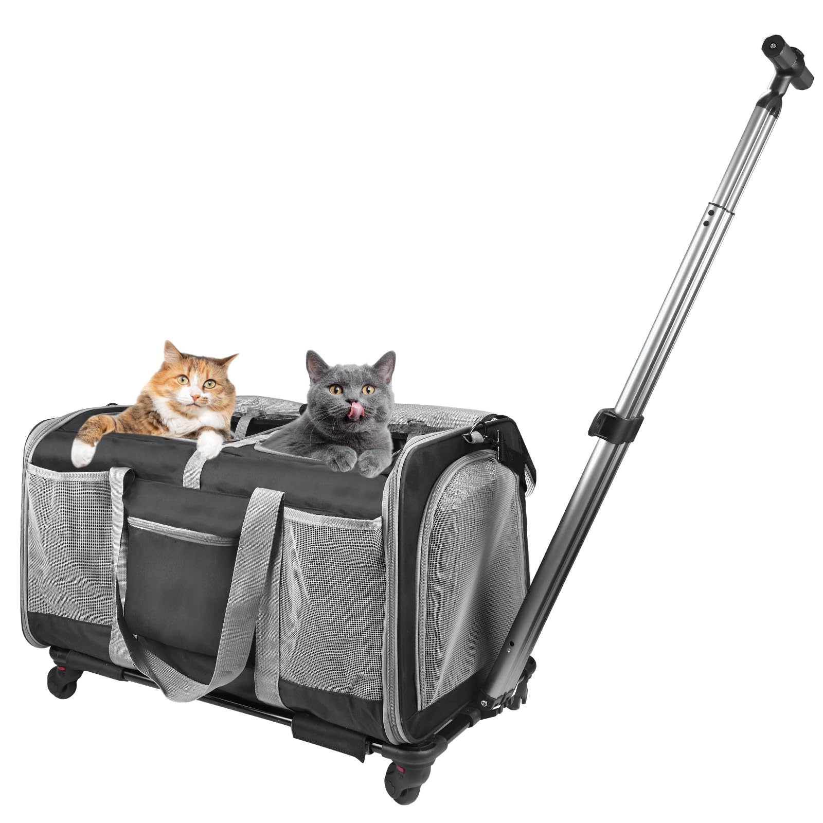 Переноска для питомцев на колесиках для двух маленьких и средних питомцев, складная переноска-тележка для питомцев, выдерживает до больших размеров, идеально подходит для больницы и чрезвычайных ситуаций чёрный
Переноска для питомцев на колесиках для двух маленьких и средних питомцев, складная переноска-тележка для питомцев, выдерживает до больших размеров, идеально подходит для больницы и чрезвычайных ситуаций чёрный