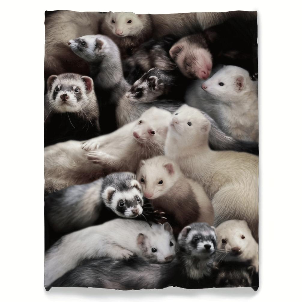 Fox pattern Flannel printed blanket suitable for all seasons suitable for living room office sofa and travel 75x100cm
Fox pattern Flannel printed blanket suitable for all seasons suitable for living room office sofa and travel 75x100cm