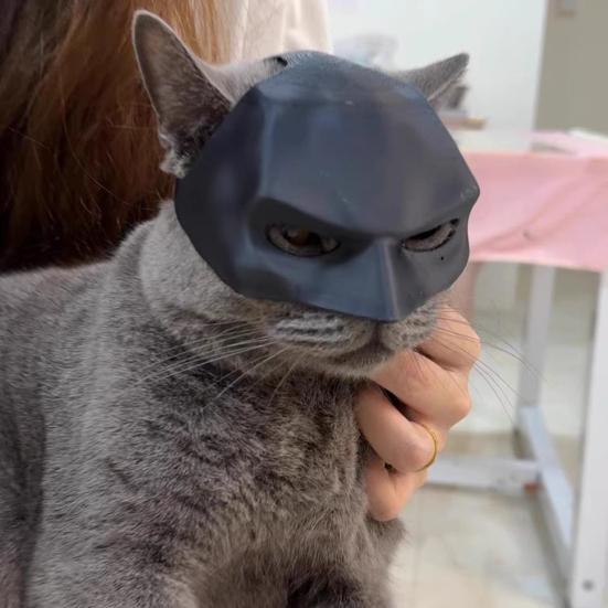 Кошачья маска летучей мыши Забавная кошачья летучая мышь Супергерой Косплей Шляпа Одежда для питомца для Хэллоуина Вечеринки по случаю дня рождения Костюмные аксессуары
Кошачья маска летучей мыши Забавная кошачья летучая мышь Супергерой Косплей Шляпа Одежда для питомца для Хэллоуина Вечеринки по случаю дня рождения Костюмные аксессуары