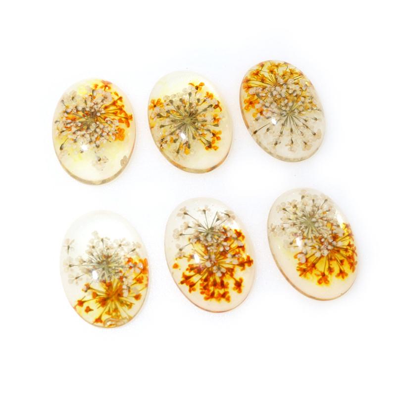 New Fashion 10pcs Fit 18x25mm Blue White And White Yellow And Green Yellow and Red Natural Dried Flowers Cabochons Cameo
New Fashion 10pcs Fit 18x25mm Blue White And White Yellow And Green Yellow and Red Natural Dried Flowers Cabochons Cameo