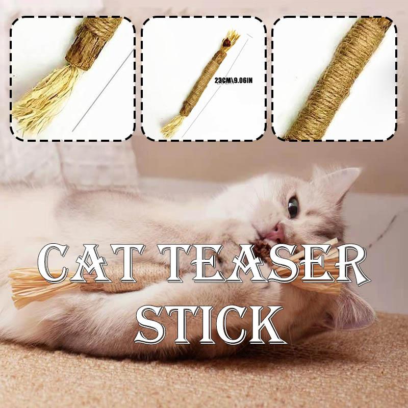 Beishu Новые игрушки из кошачьей мяты Кошачья палочка Silvervine Sticks Игрушки для кошек в помещении Жевать игрушку для кошек
Beishu Новые игрушки из кошачьей мяты Кошачья палочка Silvervine Sticks Игрушки для кошек в помещении Жевать игрушку для кошек
