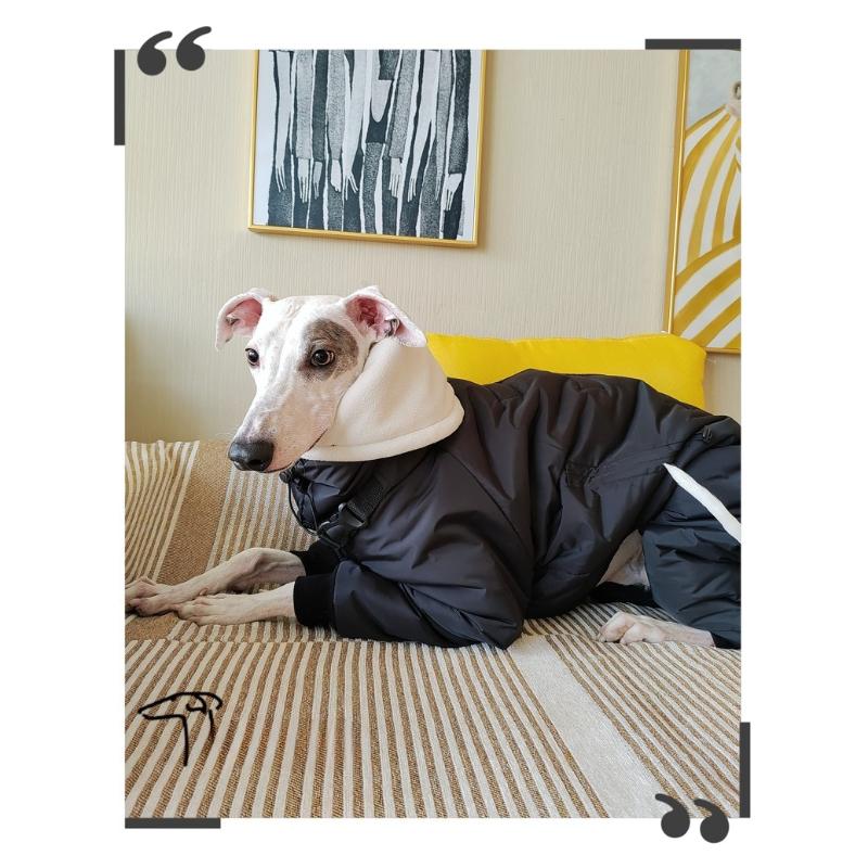 Waterproof Dog Clothes Winter Large Dogs Clothing Accessories Dogs Overalls with Hat Adjustable Warm Dog Coat Product Supplies S чёрный
Waterproof Dog Clothes Winter Large Dogs Clothing Accessories Dogs Overalls with Hat Adjustable Warm Dog Coat Product Supplies S чёрный