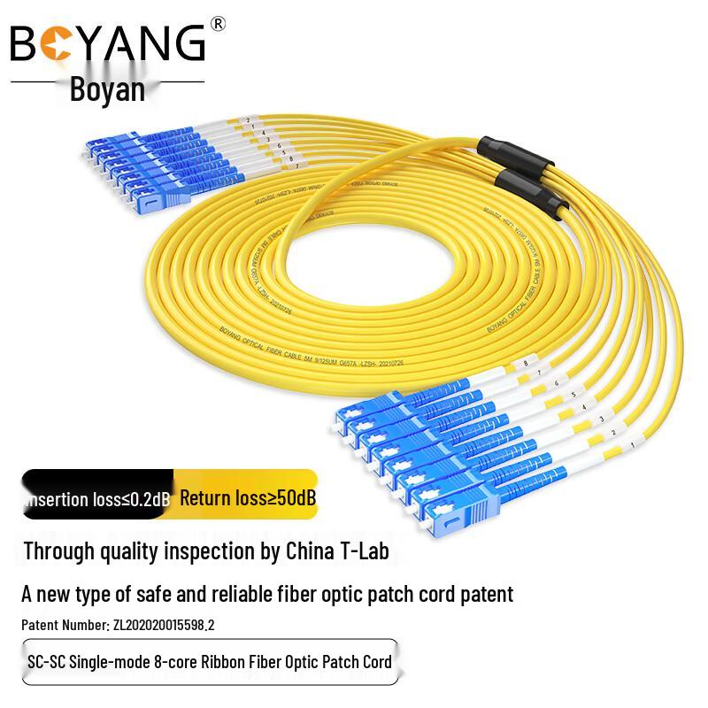 Boyang 8-Core Single-Mode Fiber Optic Patch Cable, Pre-terminated, LSZH 3m
Boyang 8-Core Single-Mode Fiber Optic Patch Cable, Pre-terminated, LSZH 3m