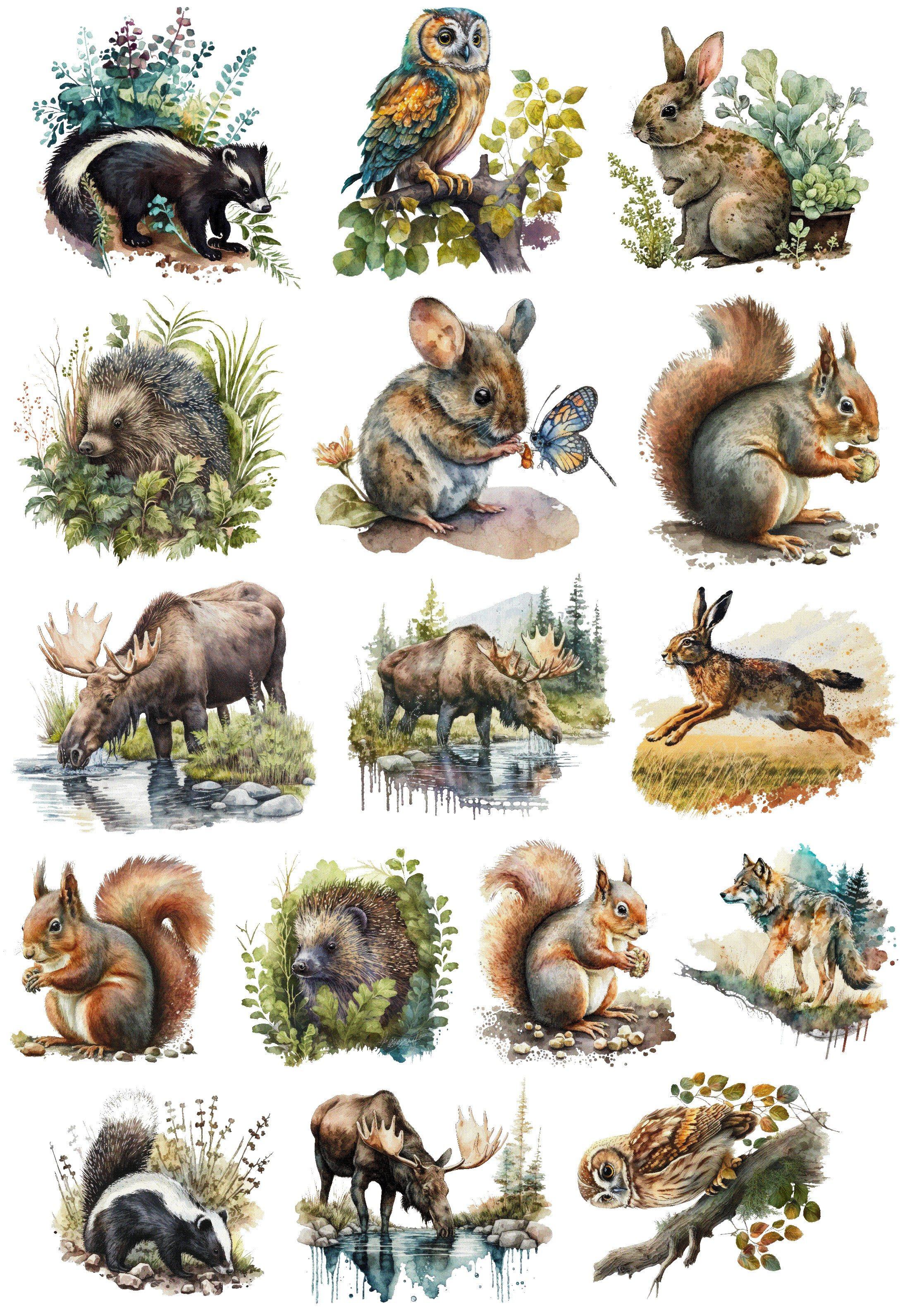 1 set Watercolor Forest Animal Rabbit Hedgehog Stickers Crafts And Scrapbooking toys Decorative DIY Stationery cute білий
1 set Watercolor Forest Animal Rabbit Hedgehog Stickers Crafts And Scrapbooking toys Decorative DIY Stationery cute білий