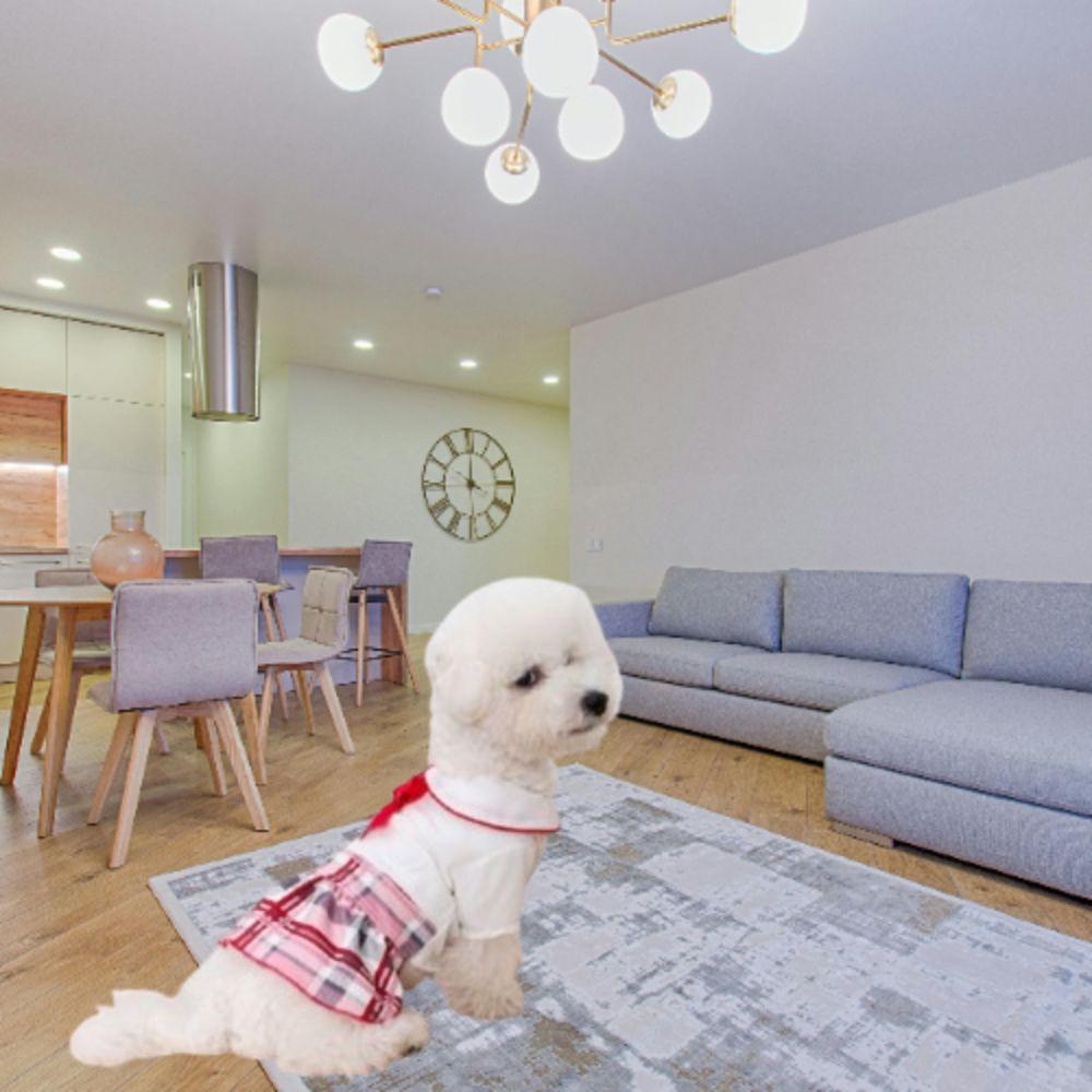 Washable Dog Plaid Shirt Skirt Cute Pet Dress Fashion Pet Princess Dress For Small Dog M
Washable Dog Plaid Shirt Skirt Cute Pet Dress Fashion Pet Princess Dress For Small Dog M
