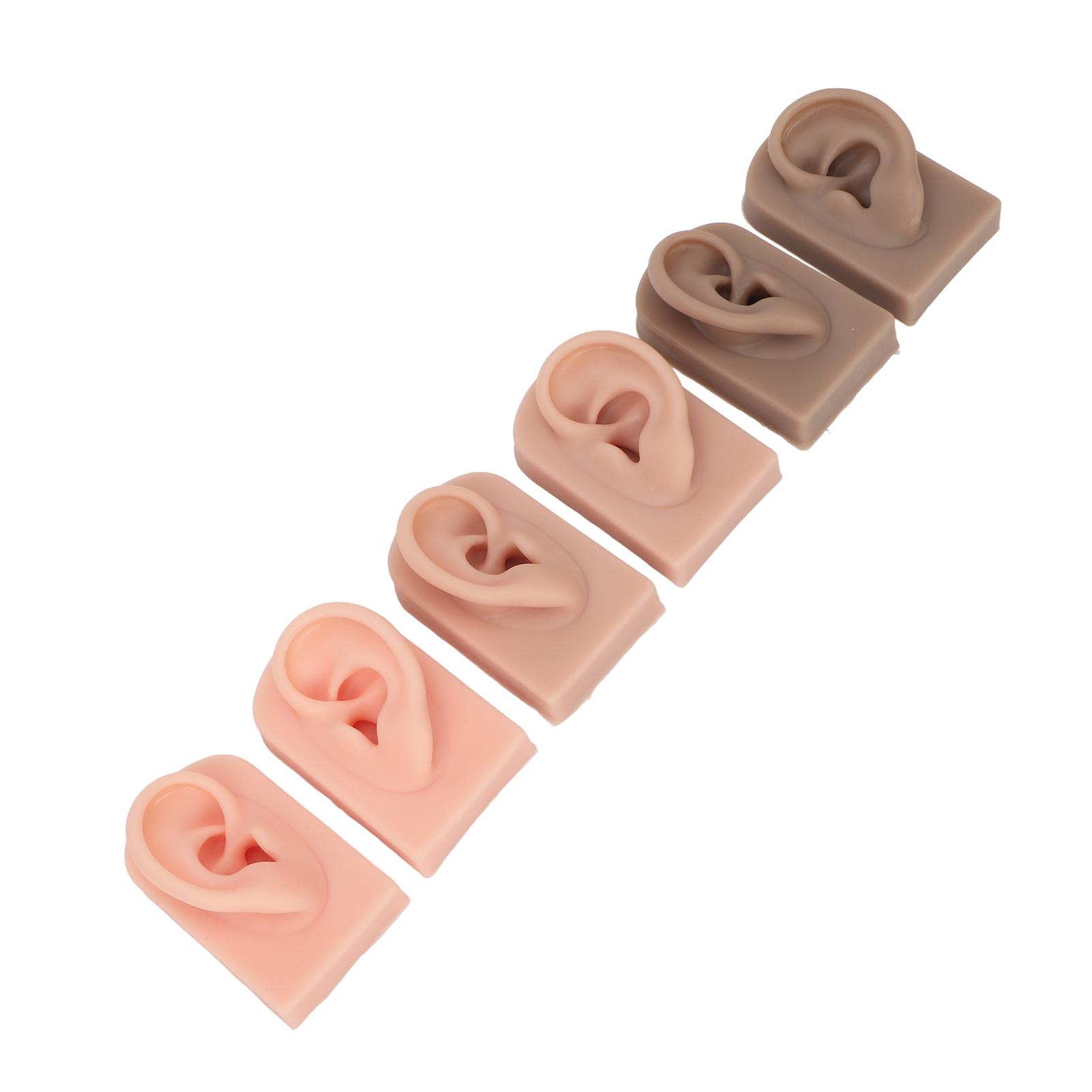 3 Pairs Silicone Ear Model 3 Colors Soft Flexible Waterproof Simulation Silicone Ear Model for Beauty Novice Practice
3 Pairs Silicone Ear Model 3 Colors Soft Flexible Waterproof Simulation Silicone Ear Model for Beauty Novice Practice