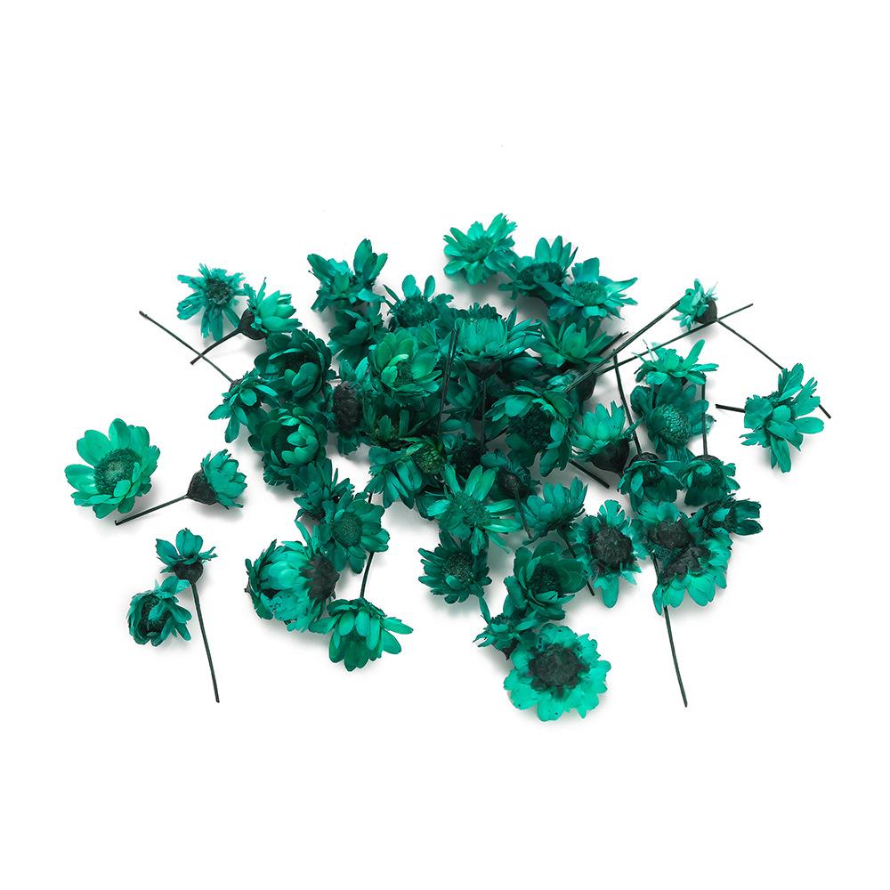 5mm~ 8mm Bags of Dried Flowers, Natural Little Star Flower Head, Handmade DIY Group Fan Crystal Epoxy Decorative Dried Flowers A about 140 flower heads
5mm~ 8mm Bags of Dried Flowers, Natural Little Star Flower Head, Handmade DIY Group Fan Crystal Epoxy Decorative Dried Flowers A about 140 flower heads