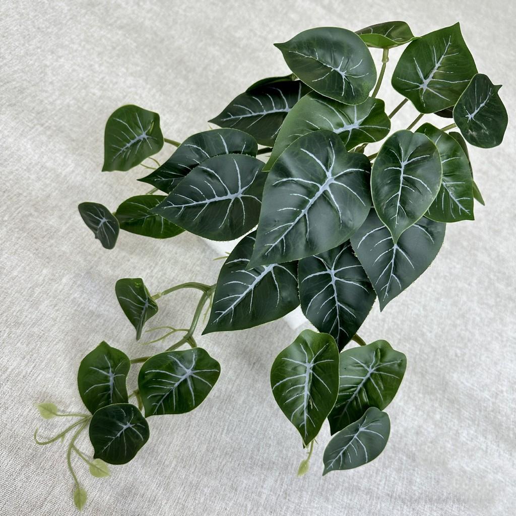 Leaf Artificial Wall Hanging Vine Plant For Wedding Decorations Photography Dark Green
Leaf Artificial Wall Hanging Vine Plant For Wedding Decorations Photography Dark Green