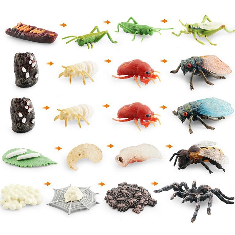 Simulation Mini Insect Set Grasshopper Bee Spider Growth Cycle Life Stage Cognitive Model Toy
Simulation Mini Insect Set Grasshopper Bee Spider Growth Cycle Life Stage Cognitive Model Toy