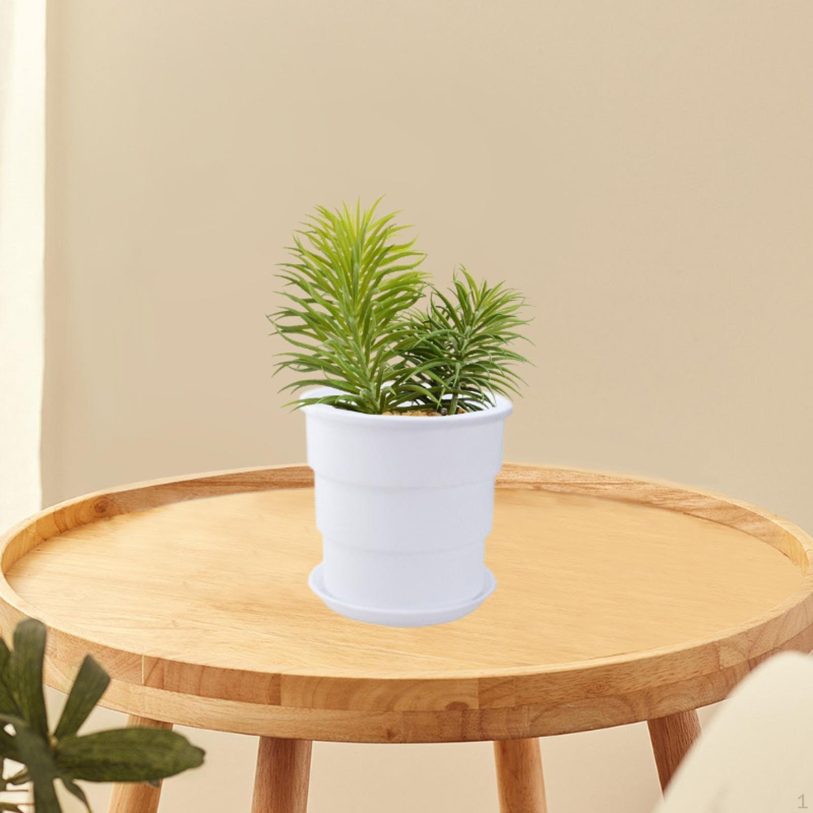 Цветочный горшок для растений Минималистский портативный универсальный небольшой горшок для растений с дренажным отверстием и поддоном для белый
Цветочный горшок для растений Минималистский портативный универсальный небольшой горшок для растений с дренажным отверстием и поддоном для белый