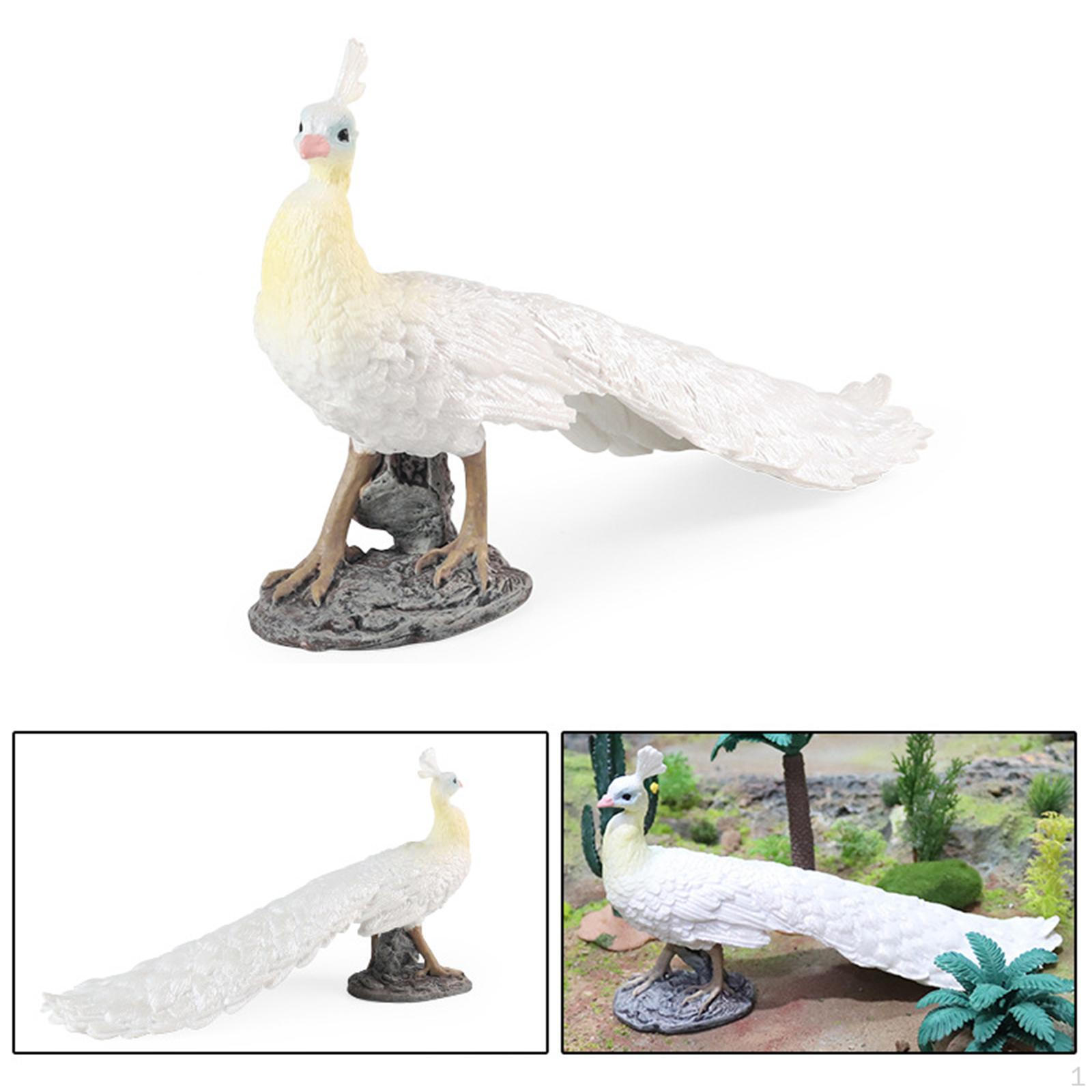 Simulation Peacock Model Figure Animal Sculpture Statue Figurine for Party Favors Kids Toy Yard
Simulation Peacock Model Figure Animal Sculpture Statue Figurine for Party Favors Kids Toy Yard