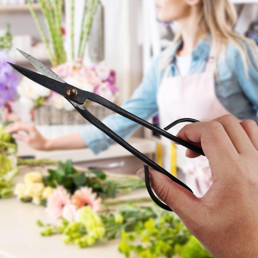 For Garden With Long Handle Plant Branch Gardening Scissors Shears Pruning Tools Bonsai Tool
For Garden With Long Handle Plant Branch Gardening Scissors Shears Pruning Tools Bonsai Tool