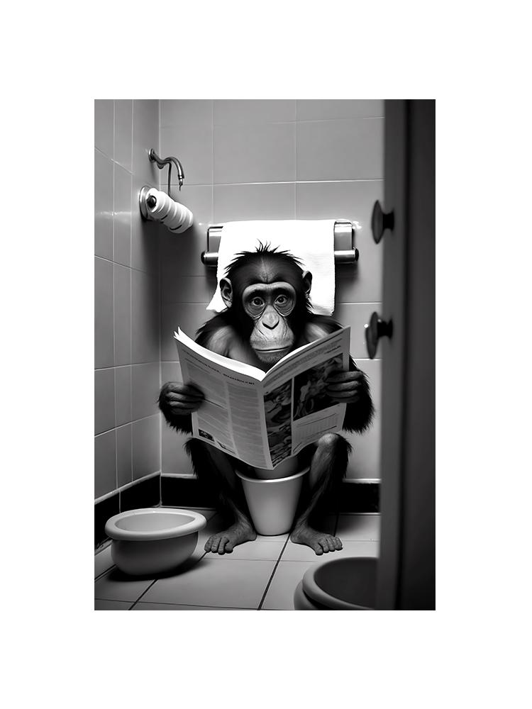 Забавные животные сидят на унитазе и читают газеты, печать на плакатах, картина на холсте, обезьяна, корова, настенный декор для ванной комнаты, фотографии 30x40cm No Frame
Забавные животные сидят на унитазе и читают газеты, печать на плакатах, картина на холсте, обезьяна, корова, настенный декор для ванной комнаты, фотографии 30x40cm No Frame
