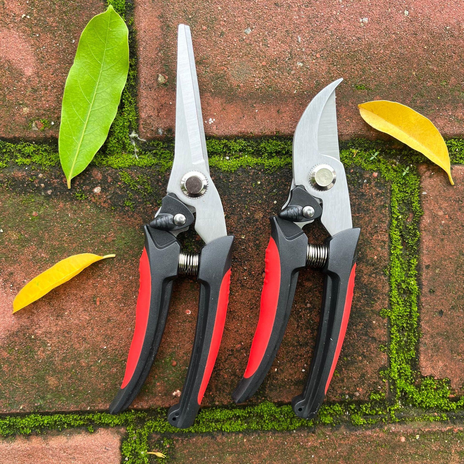 Stainless Steel Multipurpose Pruning Shears Bonsai Fruit Tree Grape & Pepper Trimmers for Garden & Landscape Elbow
Stainless Steel Multipurpose Pruning Shears Bonsai Fruit Tree Grape & Pepper Trimmers for Garden & Landscape Elbow