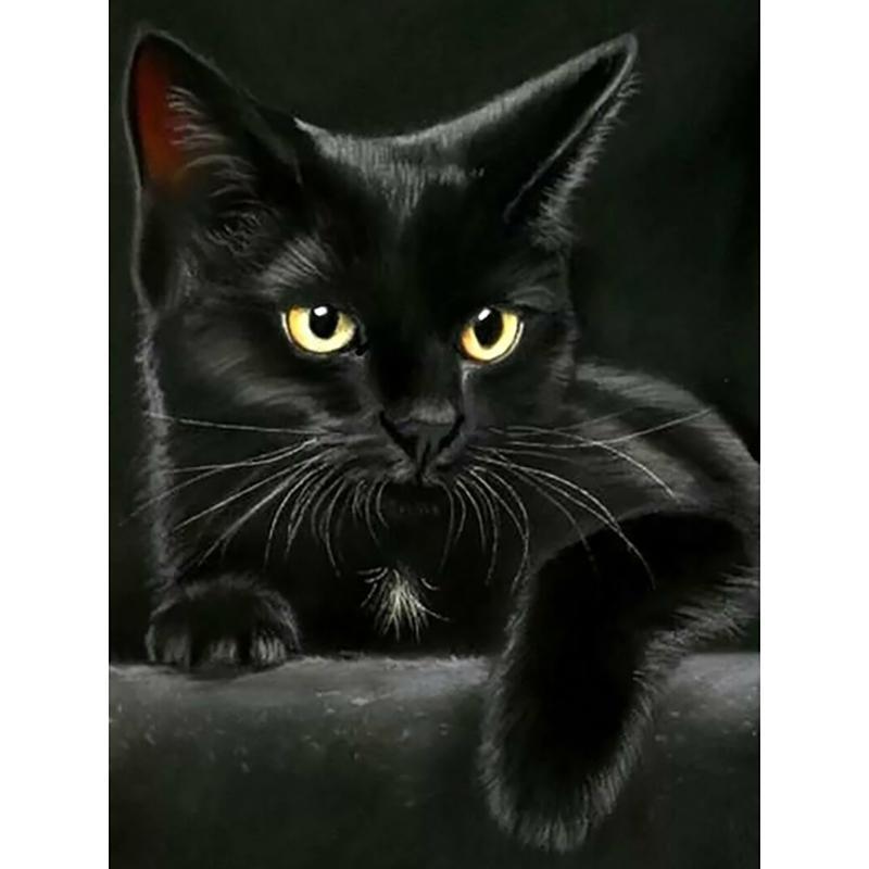 5D DIY Алмазная картина Полный квадратный/круглый дрель Темный кот Алмазная вышивка Наборы для вышивки крестом Домашний декор Подарок Round 20x30cm зелёный
5D DIY Алмазная картина Полный квадратный/круглый дрель Темный кот Алмазная вышивка Наборы для вышивки крестом Домашний декор Подарок Round 20x30cm зелёный