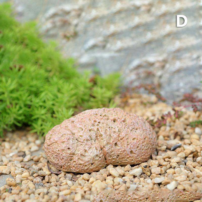 Stone Key Box Hider Holder For Outside Hidden Keys Outdoor Garden Vintage Portable Artificial For Outside Resin Shaped Stones as the picture
Stone Key Box Hider Holder For Outside Hidden Keys Outdoor Garden Vintage Portable Artificial For Outside Resin Shaped Stones as the picture