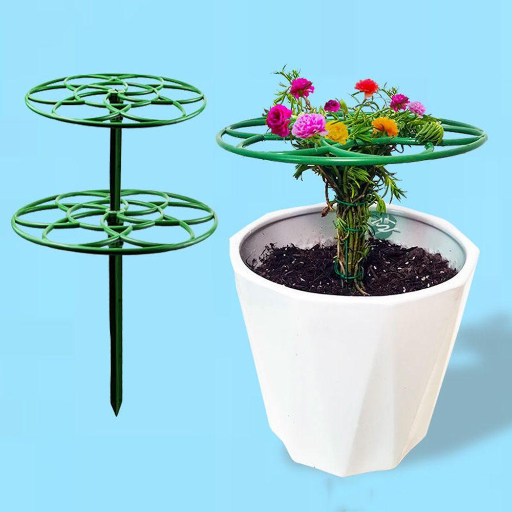 Durable Ladder Rack Garden Climbing Frame Plant Cage Frame Climbing Vine Rack Plant Support Stand M
Durable Ladder Rack Garden Climbing Frame Plant Cage Frame Climbing Vine Rack Plant Support Stand M