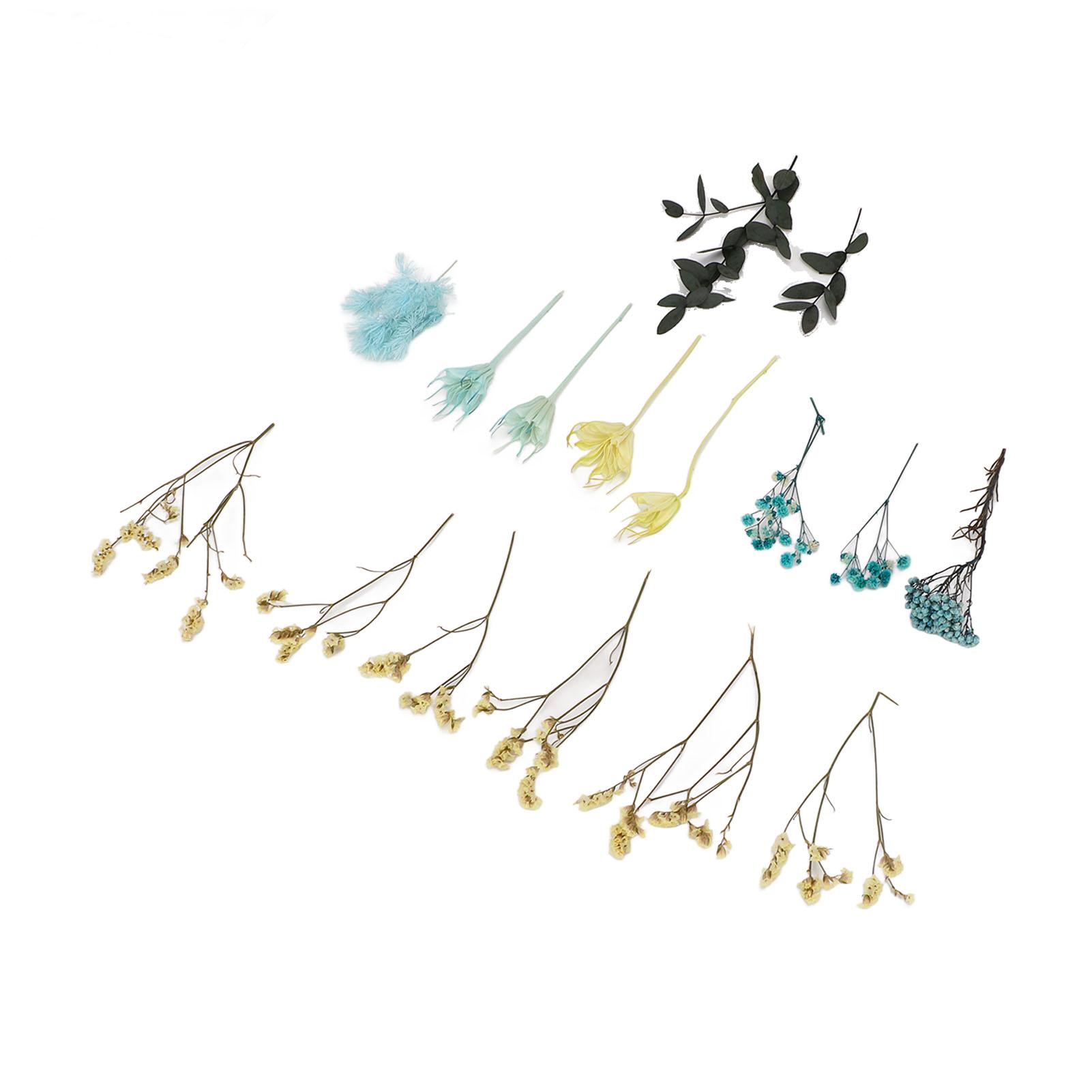 Dried Flowers Natural Odorless Exquisite Bouquet Making Materials DIY Dried Flowers for Tabletop Party Decoration
Dried Flowers Natural Odorless Exquisite Bouquet Making Materials DIY Dried Flowers for Tabletop Party Decoration