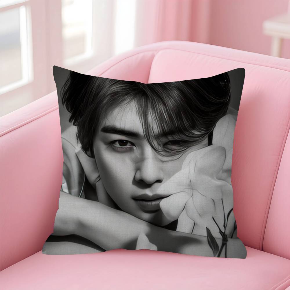 Singer Cha ido EunWoo Cushion Cover Pillow Cover Decor Pillowcase Printed Cushion Case for Couch 30x30 cm
Singer Cha ido EunWoo Cushion Cover Pillow Cover Decor Pillowcase Printed Cushion Case for Couch 30x30 cm