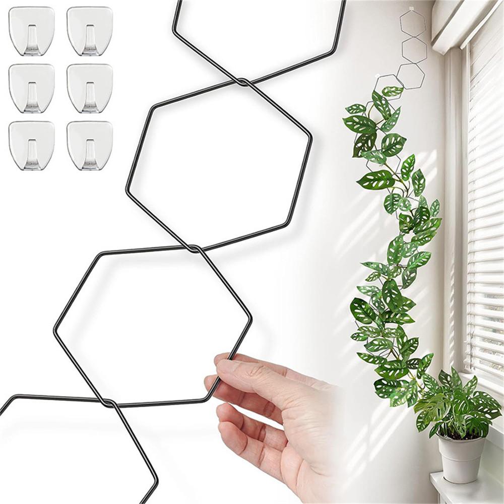 18Pcs Plant Support Trellis DIY Climbing Plant Wall Decor Hexagonal Chain Link Grid Type A
18Pcs Plant Support Trellis DIY Climbing Plant Wall Decor Hexagonal Chain Link Grid Type A