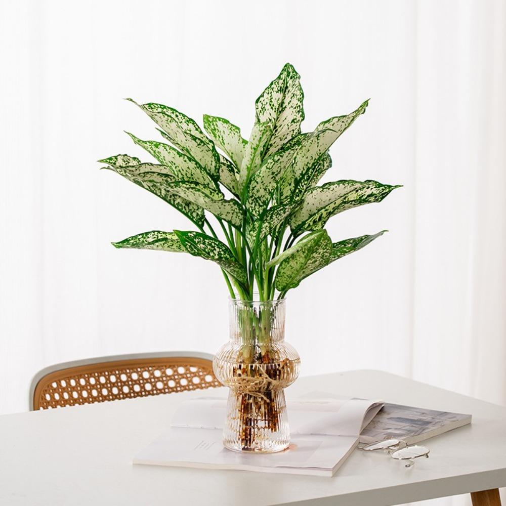 Home Decor Flower Bottle Transparnt Hydroponic Plant Vase Fashion Aromatherapy Bottle абрикосовий
Home Decor Flower Bottle Transparnt Hydroponic Plant Vase Fashion Aromatherapy Bottle абрикосовий