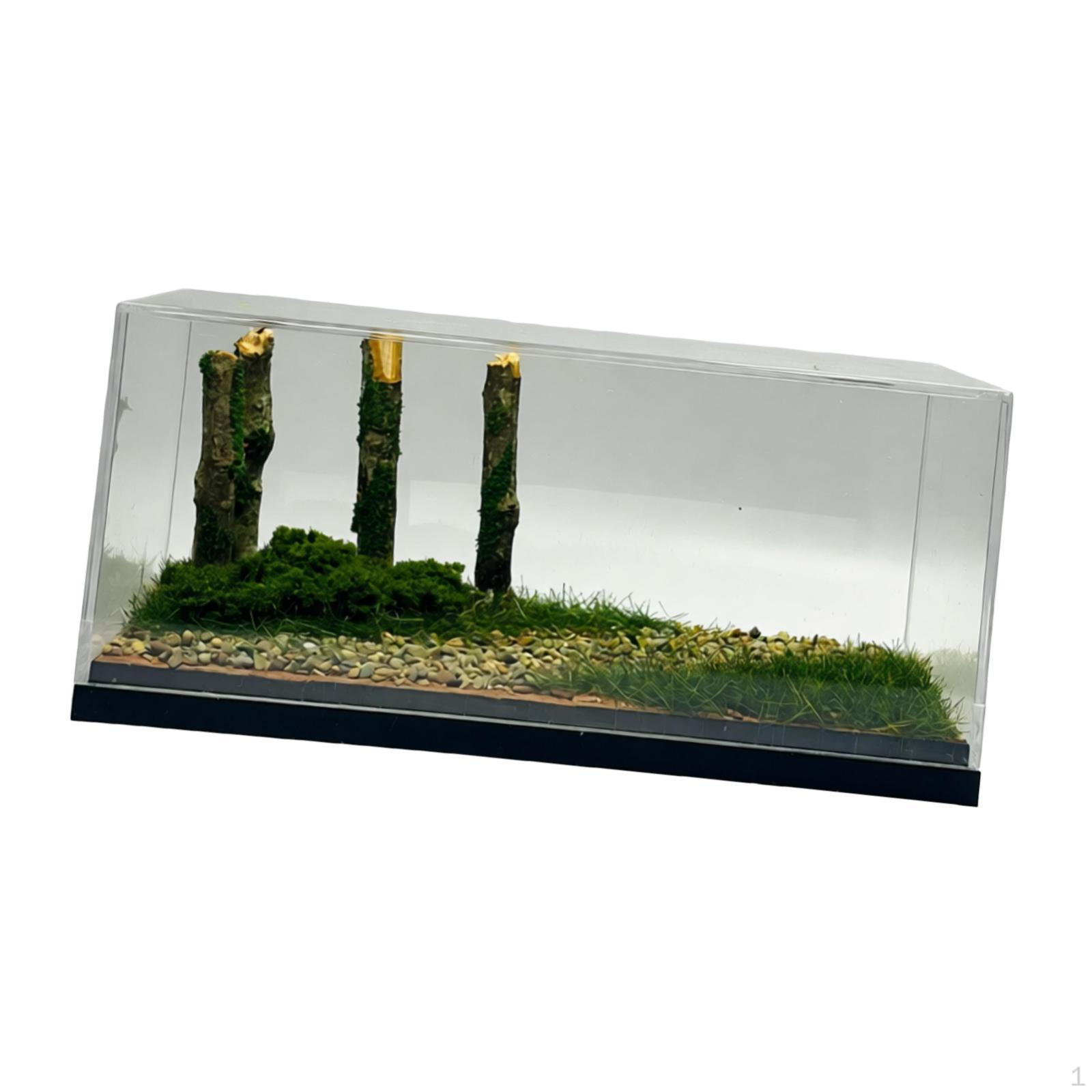 1/64 Diecast Car Display Case Clear Box Dustproof Ornament Micro Landscape Decor Photo Prop
1/64 Diecast Car Display Case Clear Box Dustproof Ornament Micro Landscape Decor Photo Prop