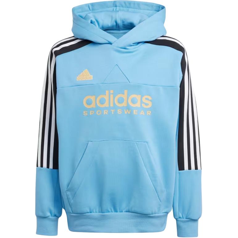 Adidas Tiro Nations Pack Повседневная удобная толстовка с длинным рукавом и тремя полосками Детская толстовка Синяя IY6378 M
Adidas Tiro Nations Pack Повседневная удобная толстовка с длинным рукавом и тремя полосками Детская толстовка Синяя IY6378 M
