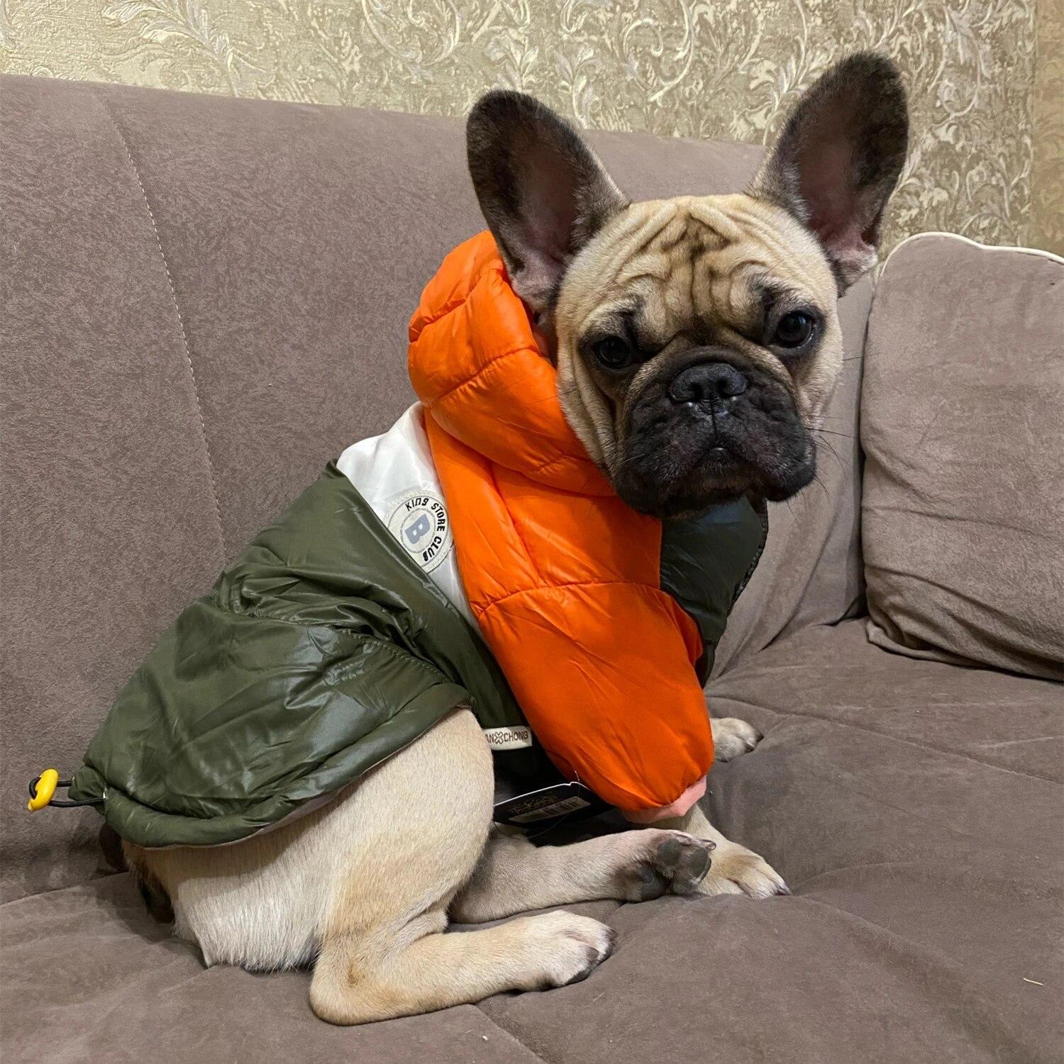 Wasserdichte Große Hund Unten Jacket Winter Warm Hund Kleidung für Kleine Medium Large Hunde Französisch Bulldogge Швабры Mit Kapuze Mantel Haustiere
Wasserdichte Große Hund Unten Jacket Winter Warm Hund Kleidung für Kleine Medium Large Hunde Französisch Bulldogge Швабры Mit Kapuze Mantel Haustiere