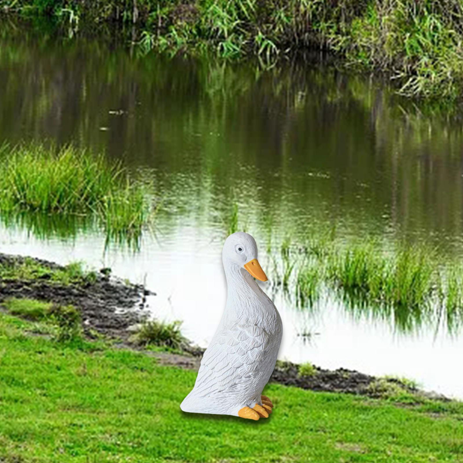 Duck Statue Miniature Figurines Accessories Animal Sculpture for Terrarium Bookshelf Style C
Duck Statue Miniature Figurines Accessories Animal Sculpture for Terrarium Bookshelf Style C