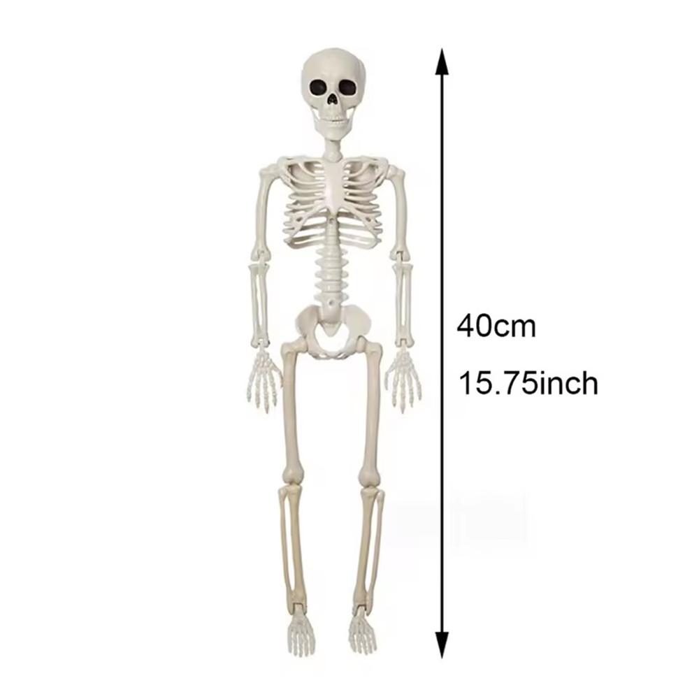 Full Life Size Human Skeleton Halloween Prop 40CM Haunted House Hanging Props Halloween Movable Skeleton Halloween Ornament Toys 40cm
Full Life Size Human Skeleton Halloween Prop 40CM Haunted House Hanging Props Halloween Movable Skeleton Halloween Ornament Toys 40cm