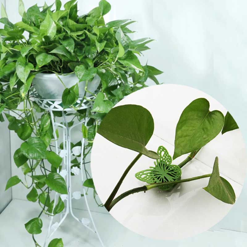 10 шт. фиксатор бабочки для растений зелёный 
10 шт. фиксатор бабочки для растений зелёный