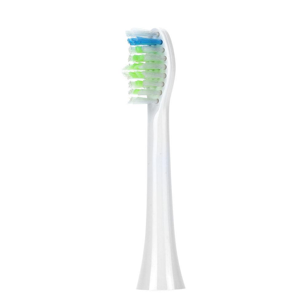 Replacement Heads for Roman Electric Toothbrush Models T3/T5/T6/T10S/T20/L11/SN02/ST8873
Replacement Heads for Roman Electric Toothbrush Models T3/T5/T6/T10S/T20/L11/SN02/ST8873