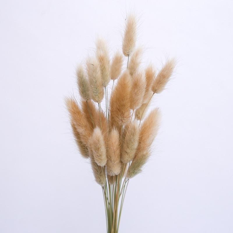 Кроличий хвост, трава, настоящие цветы, натуральная пампасная трава, букет из сухих цветов, свадебные украшения, пасхальный декор, домашний декор
Кроличий хвост, трава, настоящие цветы, натуральная пампасная трава, букет из сухих цветов, свадебные украшения, пасхальный декор, домашний декор