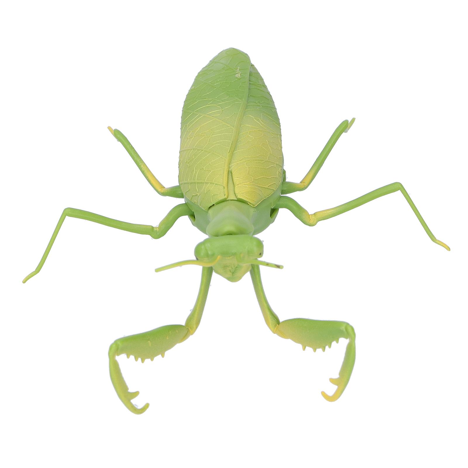 Remote Control Insects RC Animals Children Adults Trick Toys Electric Animals for Halloween
Remote Control Insects RC Animals Children Adults Trick Toys Electric Animals for Halloween