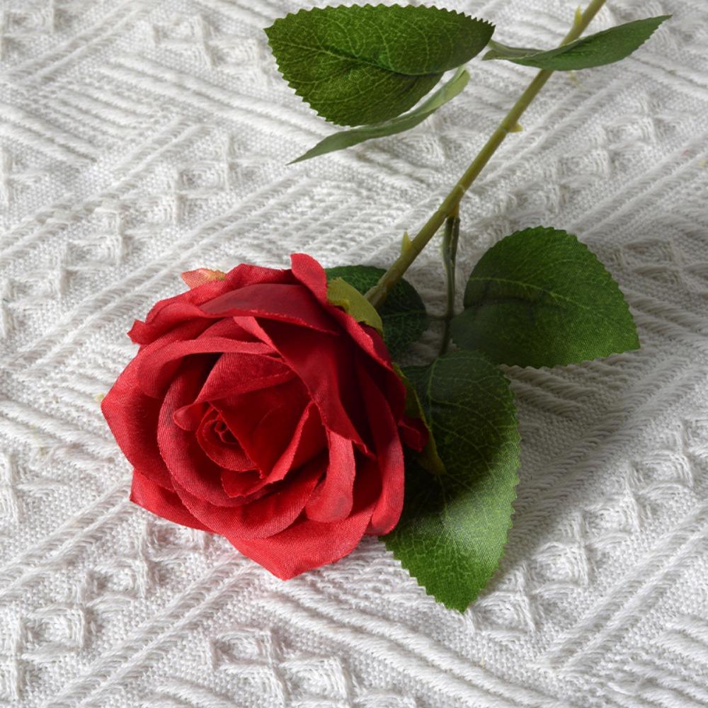 5pcs New 10 Colors Simulated Rose DIY Party Decoration Festival Supplies Vintage Silk Rose Wedding Fake Flowers Home Decor червоний
5pcs New 10 Colors Simulated Rose DIY Party Decoration Festival Supplies Vintage Silk Rose Wedding Fake Flowers Home Decor червоний