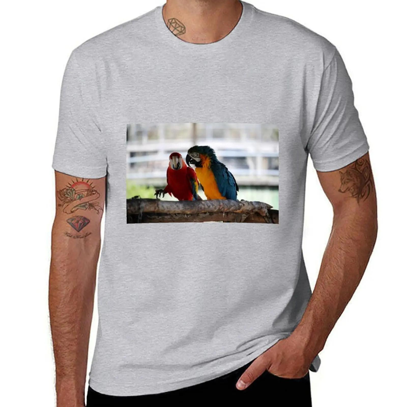 Conversation Between Macaws TShirt anime kawaii clothes Blouse men t shirt S
Conversation Between Macaws TShirt anime kawaii clothes Blouse men t shirt S