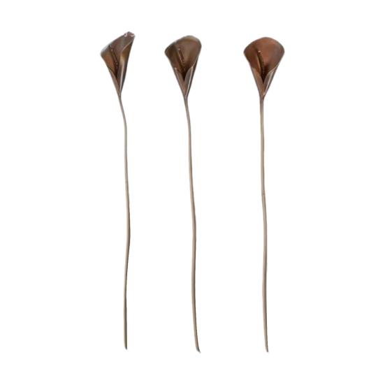 3 Pcs Rustic Metal Calla Lily Garden Stake Vintage Flower Outdoor Yard Art for Patio Lawn Garden Backyard Planter Pots Flower Beds Decor Size#3pcs
3 Pcs Rustic Metal Calla Lily Garden Stake Vintage Flower Outdoor Yard Art for Patio Lawn Garden Backyard Planter Pots Flower Beds Decor Size#3pcs