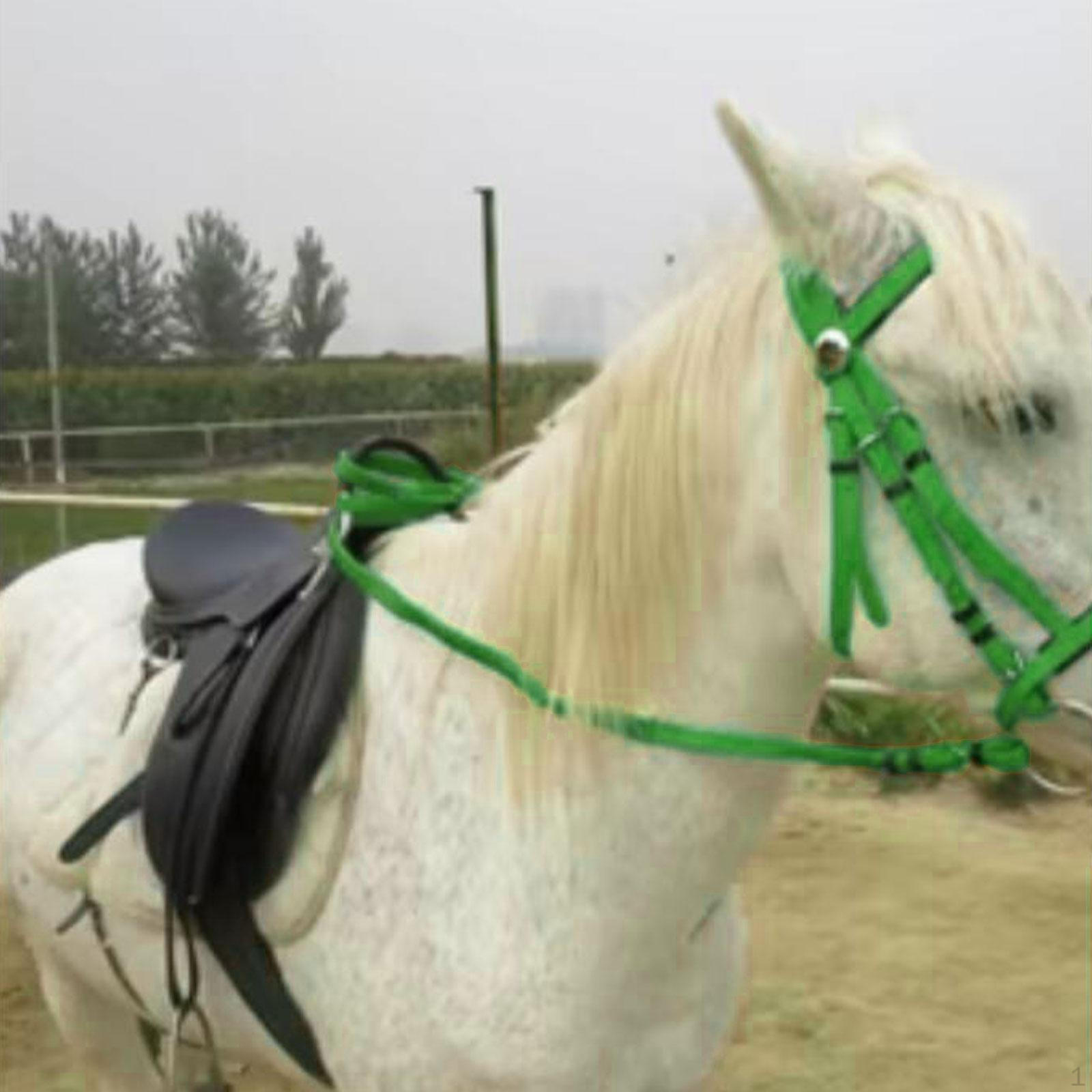 Конская уздечка с поводом, недоуздок, регулируемая конная экипировка, назатылочный ремень, повод для клуба 125mm
Конская уздечка с поводом, недоуздок, регулируемая конная экипировка, назатылочный ремень, повод для клуба 125mm