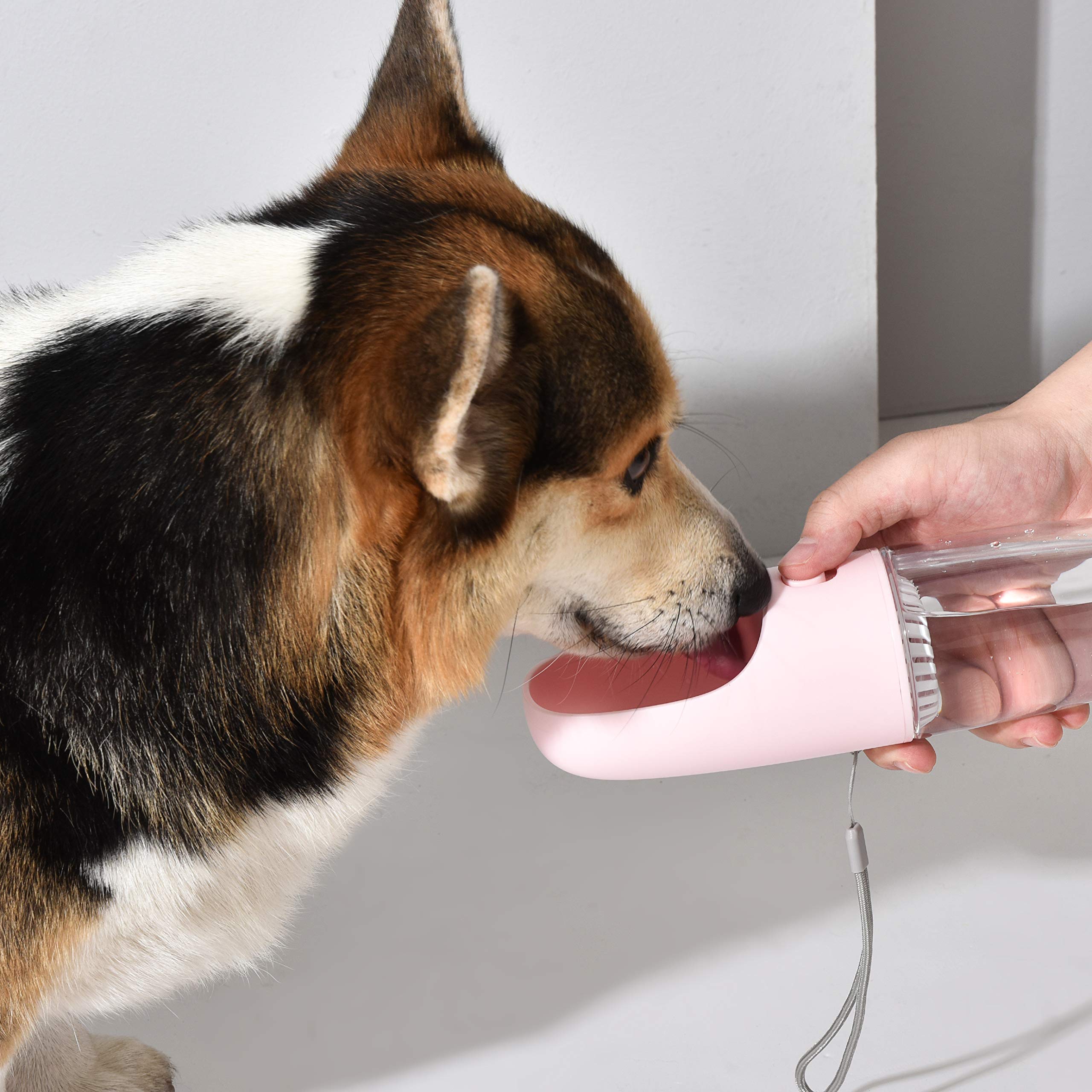 DOGNESS D02 Pet Water Water Portable Bottle Water для портативной питьевой бутылки для различных целей. Поставляется с аквариумной бутылкой, дозатором, собаками, кошками и т. д.,
DOGNESS D02 Pet Water Water Portable Bottle Water для портативной питьевой бутылки для различных целей. Поставляется с аквариумной бутылкой, дозатором, собаками, кошками и т. д.,