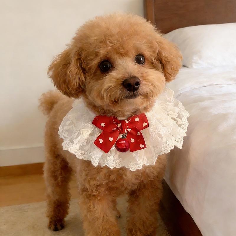 Premium Bow Bell Dog Bib - Adorable Pet Saliva Towel & Decor Small
Premium Bow Bell Dog Bib - Adorable Pet Saliva Towel & Decor Small