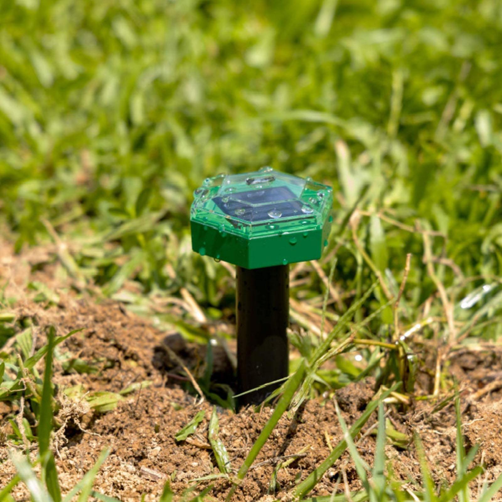 Mole Repellents for Lawn Snake Repellents for Yard Solar Snake Trap Groundhog Vole Repellents Ultrasonics Spikes Outdoor
Mole Repellents for Lawn Snake Repellents for Yard Solar Snake Trap Groundhog Vole Repellents Ultrasonics Spikes Outdoor