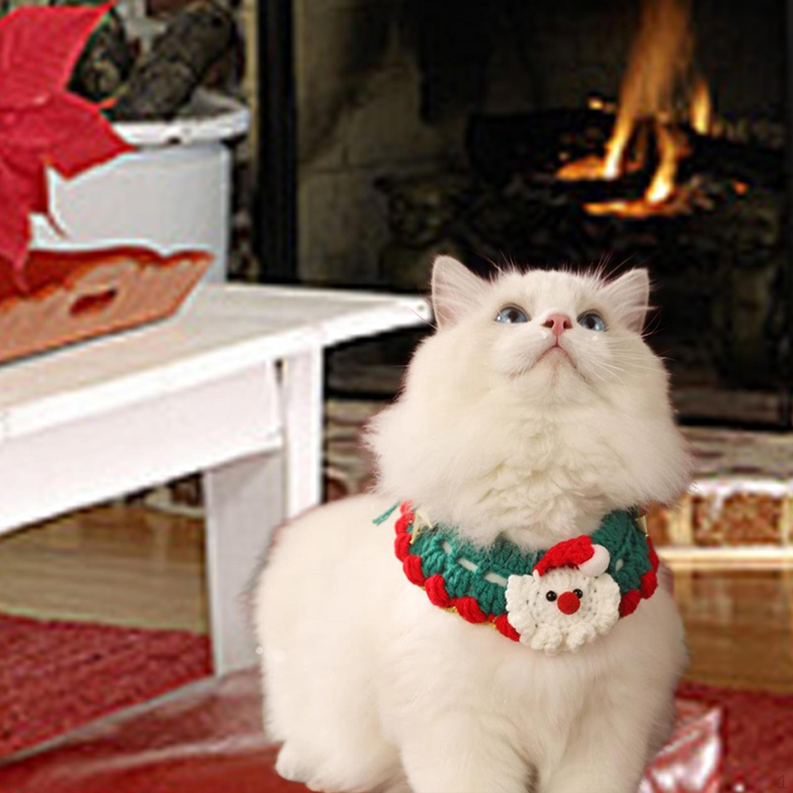 Регулируемый ошейник для кошек с вязаным шарфом для домашних животных на праздник L
Регулируемый ошейник для кошек с вязаным шарфом для домашних животных на праздник L