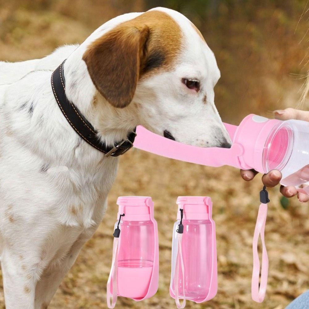 2 in 1 Pet Water Dispenser 350/500ml Cat Drinking Bowl Foldable Dog Water Bottle Travel Style 4
2 in 1 Pet Water Dispenser 350/500ml Cat Drinking Bowl Foldable Dog Water Bottle Travel Style 4