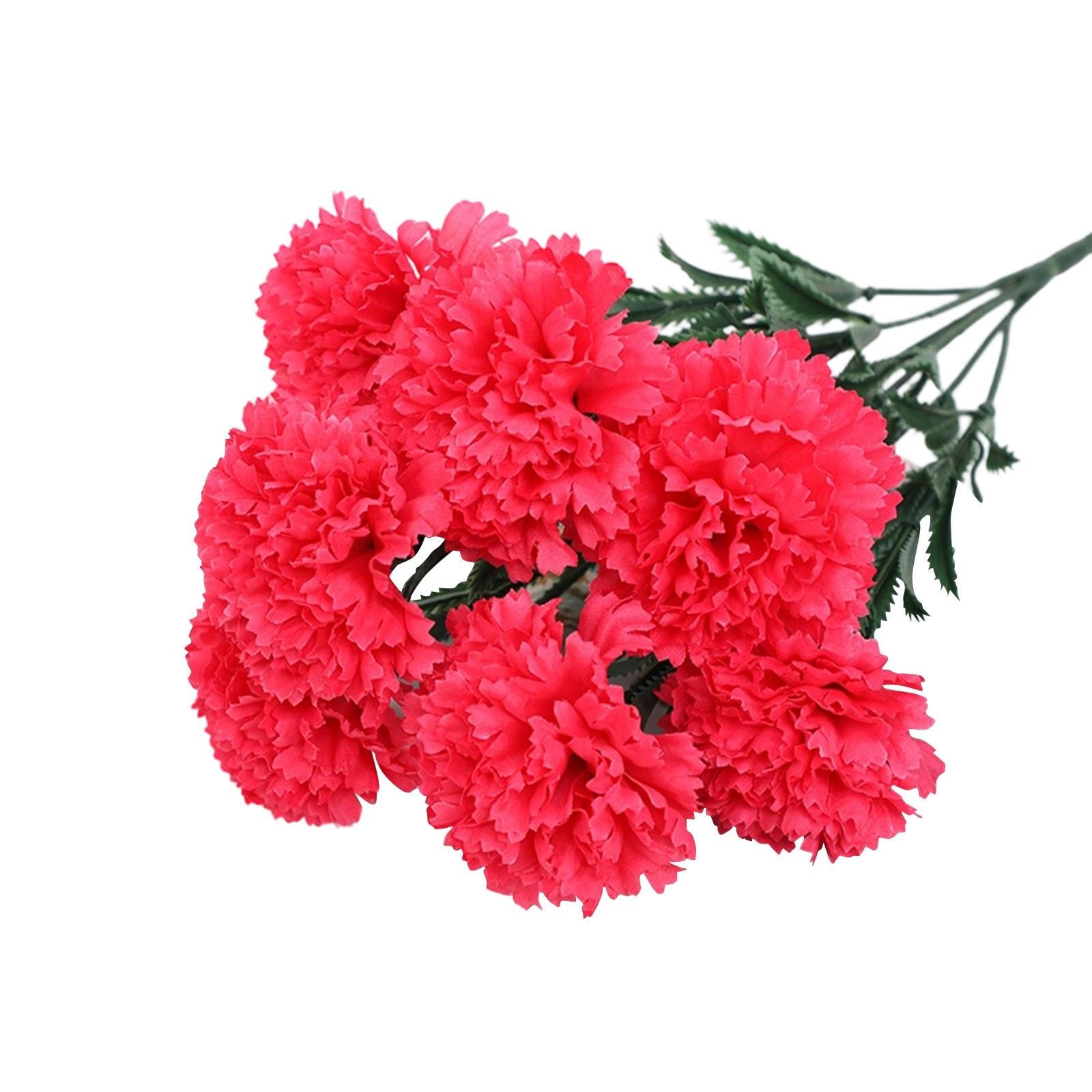 Artificial Carnation Flowers Bouquet Realistic Silk Material Lifelike Floral Arrangement for Home Office Decoration One Size горячий розовый
Artificial Carnation Flowers Bouquet Realistic Silk Material Lifelike Floral Arrangement for Home Office Decoration One Size горячий розовый